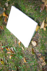 An open notebook lies on the autumn ground