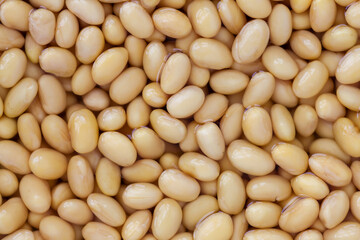 Pattern of soybean in water. Wet seeds background food close-up. Soy milk preparation.
