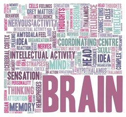 Brain vector illustration word cloud isolated on a white background.