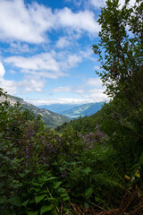 Beautiful scenic view of the Alp mountains with  green grass and blue sky.