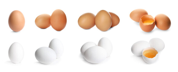 Set of whole and broken eggs on white background, banner design