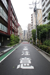 Fototapeta na wymiar Japan Street