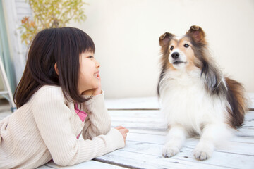 シェットランド・シープドッグと頬杖をつく女の子