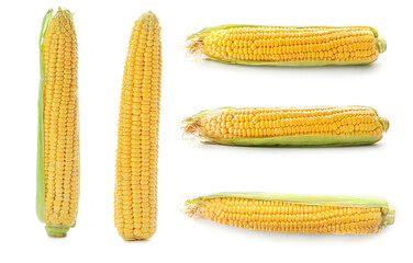Set of ripe corn cobs on white background