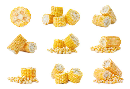 Set of corn cob pieces on white background