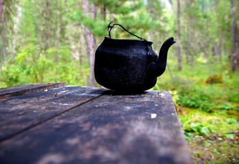 old black teapot on the table in the wild forest      