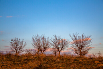 Allphotokz Taldykorgan Way 20141111 2376 5DM3 S