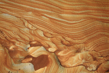 New Taipei Taipei Wanli Turtle Roar Coastal Rock Texture Taiwan