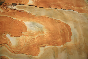 New Taipei Taipei Wanli Turtle Roar Coastal Rock Texture Taiwan