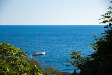 Beautiful bright landscape with a sailing yacht in the adriatic sea with green trees in the foreground