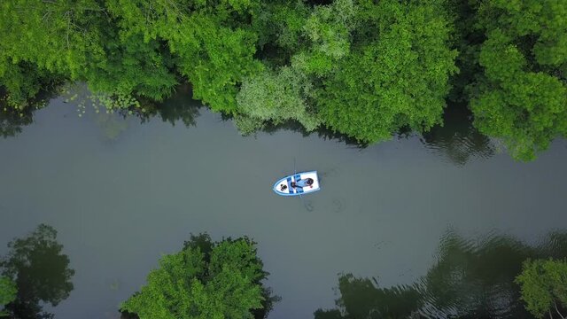 green forest river boats nature