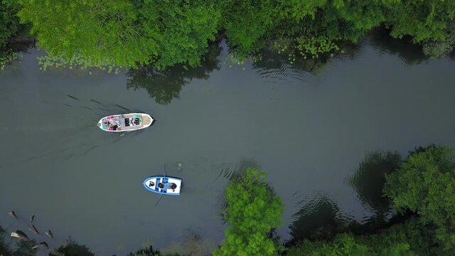 green forest river boats nature