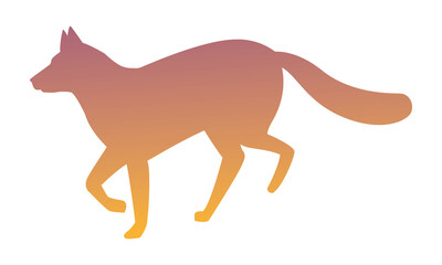 wild fox animal nature silhouette