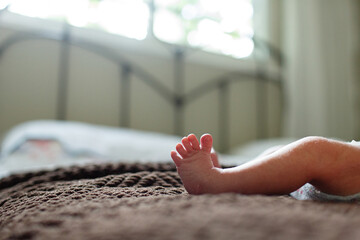 closeup of baby foot and toes