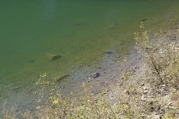 riva di un lago di acqua cristallina