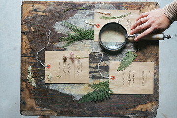 Herbarium On The Table With Paper Tags
