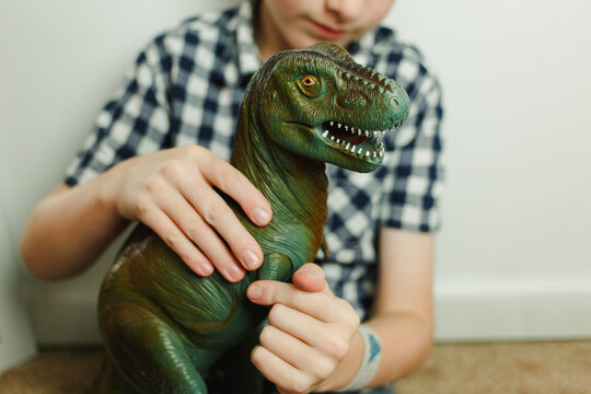T Rex