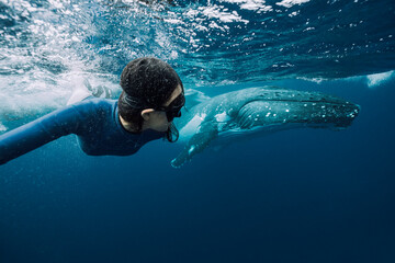 A female free diver swimming with humpback whales