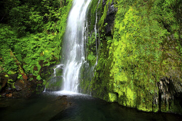 Taichung Wuling Farm Yansheng Waterfall Taiwan