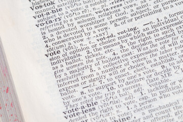 Obraz premium the word definition vote