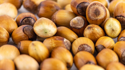 ripe hazelnut on a white background macro photography, texture backgrounds, soft focus