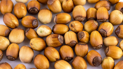ripe hazelnut on a white background macro photography, texture backgrounds, soft focus