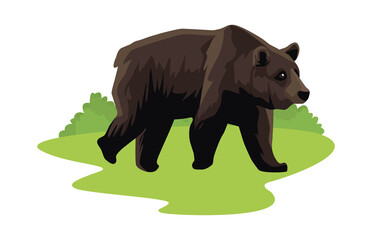 Obraz na płótnie Canvas wild bear beast animal on the field