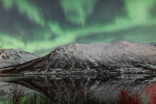 Northern light aurora in the sky