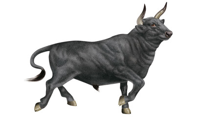 taureaux, corrida, arènes isolé, ferme, bétail, en marche, tacheté, gestuelle, menaçant, noir, blanc, mammifère, blanc, brun, boeuf, nature, bison, brun, prairie, gazon, grand, lait, sauvage, champ, a