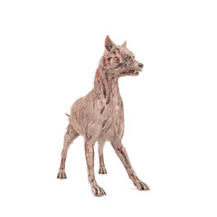 Obraz premium zombie dog is on alert pose and isolated in white background
