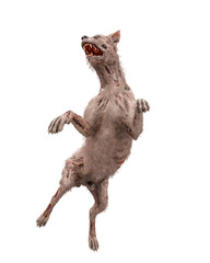 Fototapeta premium zombie dog is on joy pose and isolated in white background