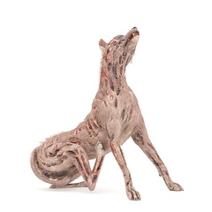 zombie dog is scratching and isolated in white background