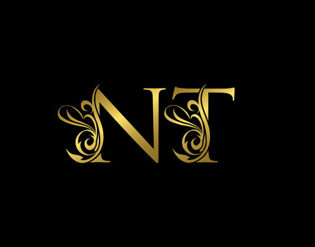Gold N, T and NT Luxury Letter Logo Icon. Graceful royal style. Luxury alphabet arts logo.