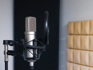 studio microphone with anti-noise