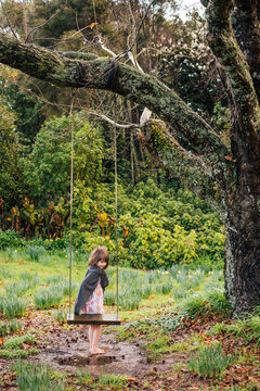 Young girl on a swing by a large tree