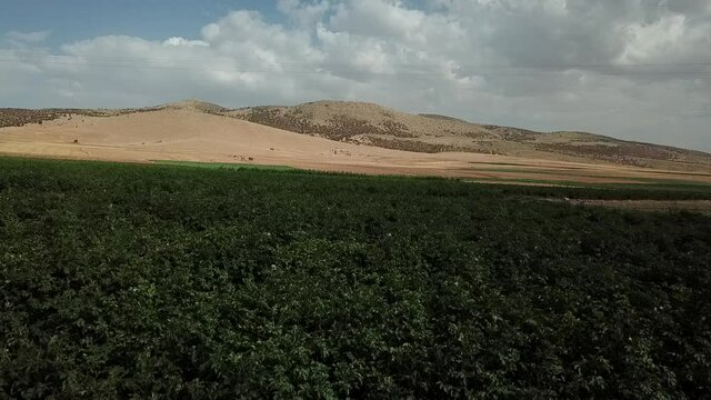 green field and clouds Midelt Morocco 