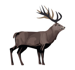 wild reindeer animal nature icon