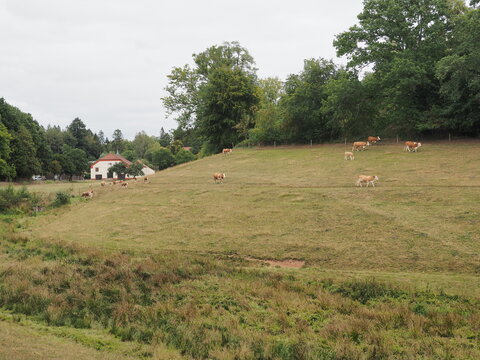 Landschaftspark und Hofgut Imsbach Lapointe im Saarland bei Theley