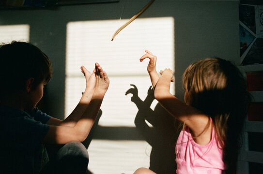 children make shadow puppets with hands