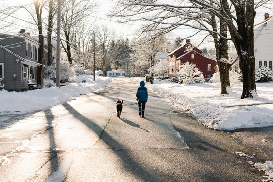 boy walking his dog in the winter