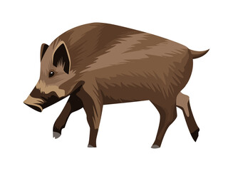 wild pig animal nature icon