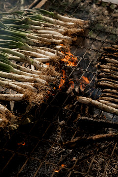 Cal&ccedil;otada