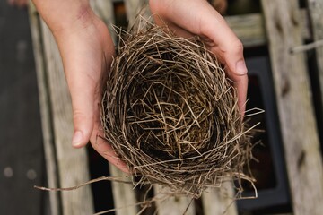 hands holding an empty bird nest