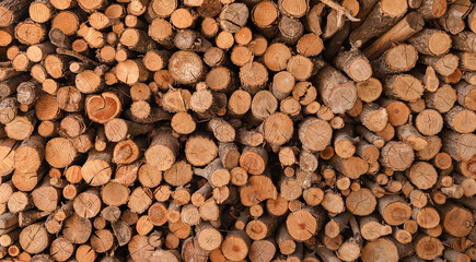 Wooden logs are stacked on top of each other. wood texture, background and texture concept.