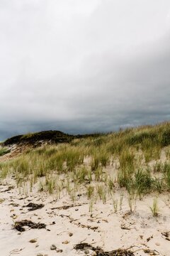 stormy day at hte beach