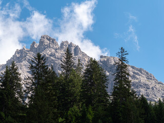 Daytime summer, mountains in the background with trees, rocks, and blue sky in foreground. For concepts about wilderness, nature, landscape scenery.