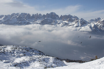 Fototapeta na wymiar panorama delle Dolimiti da una vetta con nuvole basse