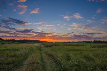 Fototapeta na wymiar Landscape with country road in meadow against beautiful sunset
