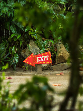 Red arrow pointer with the inscription exit surrounded by green plants