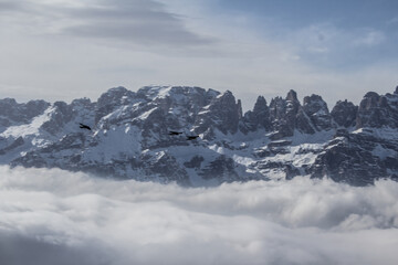 panorama delle Dolimiti da una vetta con nuvole basse